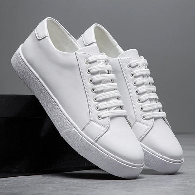 Corvalli Italian Leather Sneakers
