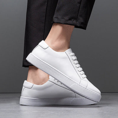 Corvalli Italian Leather Sneakers